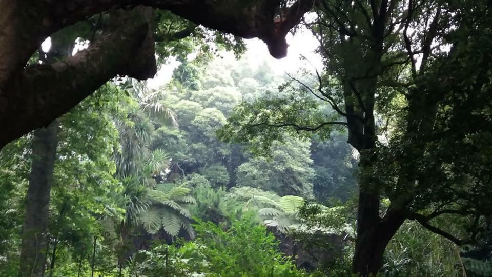 Casa Das Lapinhas ลาโกอา ภายนอก รูปภาพ